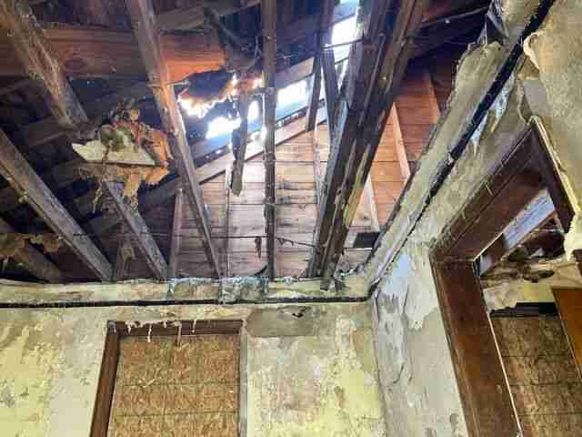 Testing again(32).jpg